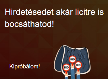 Hirdetésed akár licitre is bocsáthatod